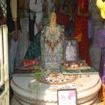 Vraj-Yatra-2014- (1463)